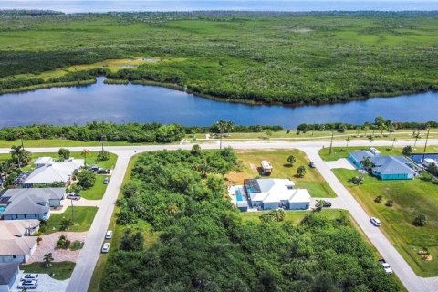 Land in Port Charlotte, Florida № 2214436 - photo 5