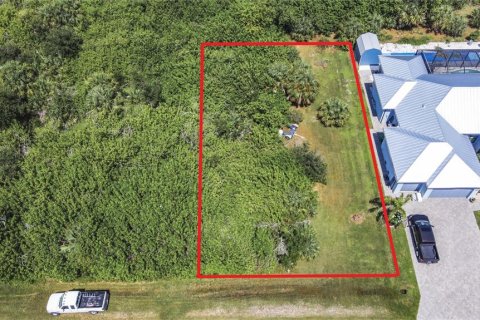 Land in Port Charlotte, Florida № 2214436 - photo 2