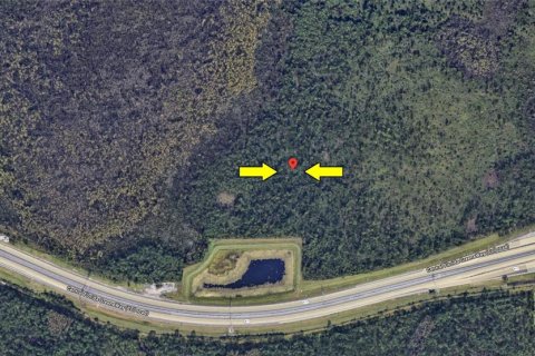 Land in Orlando, Florida № 2158963 - photo 6