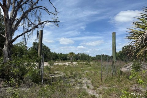 Propiedad comercial en venta en Okeechobee, Florida № 2158316 - foto 2