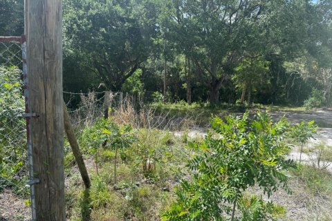 Propiedad comercial en venta en Okeechobee, Florida № 2158316 - foto 5