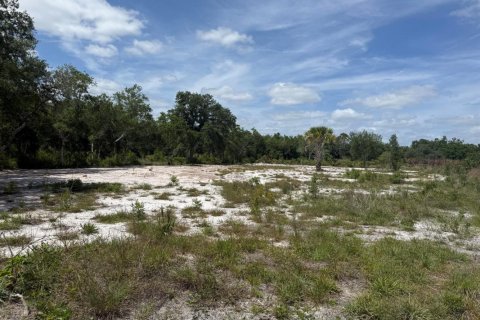 Propiedad comercial en Okeechobee, Florida № 2158316