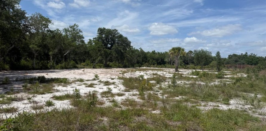 Propiedad comercial en Okeechobee, Florida № 2158316
