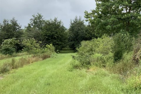 Land in Apopka, Florida № 2113037
