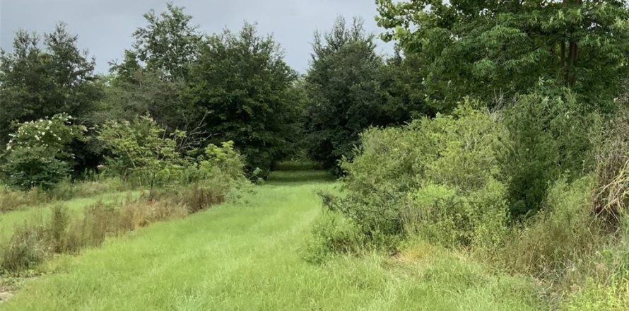 Terrain à Apopka, Floride № 2113037