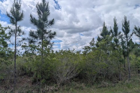 Land in Indian lake estates, Florida № 2217579 - photo 6
