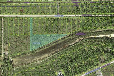 Land in Indian lake estates, Florida № 2217579