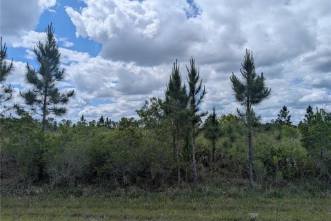 Land in Indian lake estates, Florida № 2217579 - photo 10