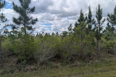 Land in Indian lake estates, Florida № 2217579 - photo 9
