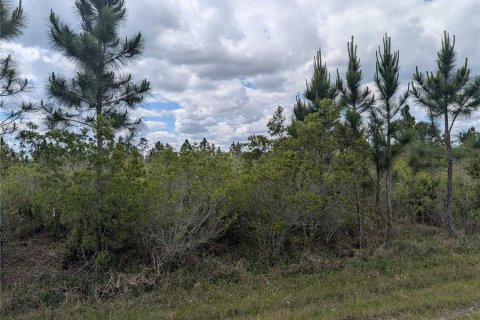 Land in Indian lake estates, Florida № 2217579 - photo 3