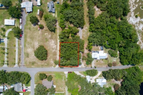 Land in Lakeland, Florida № 1797021 - photo 3