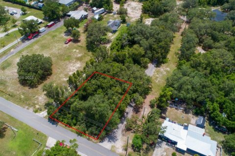 Land in Lakeland, Florida № 1797021 - photo 4
