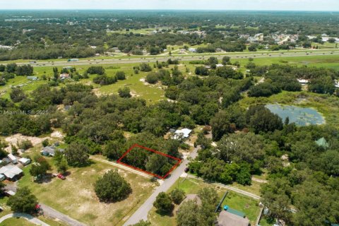 Land in Lakeland, Florida № 1797021 - photo 1