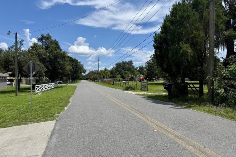 Land in Lakeland, Florida № 1797021 - photo 6