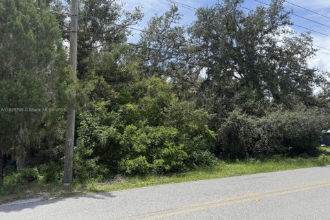 Land in Lakeland, Florida № 1797021 - photo 10