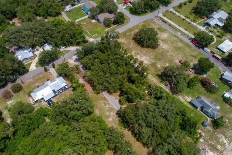 Land in Lakeland, Florida № 1797021 - photo 9