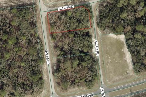 Terreno en Ocala, Florida № 2102941