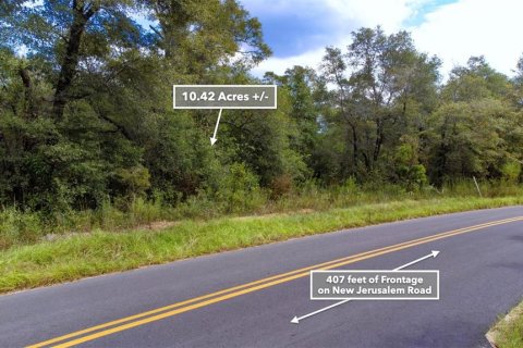Land in Vernon, Florida № 1192382 - photo 30