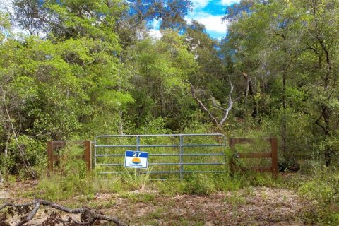Land in Vernon, Florida № 1192382 - photo 7