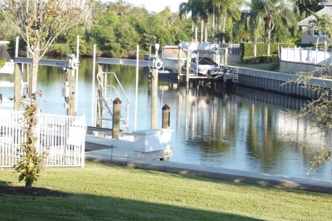 Villa ou maison à vendre à Apollo Beach, Floride: 5 chambres, 367.52 m2 № 2430722 - photo 3
