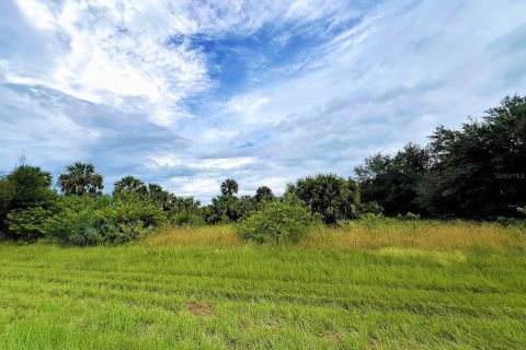 Land in Port Charlotte, Florida № 1394180 - photo 2