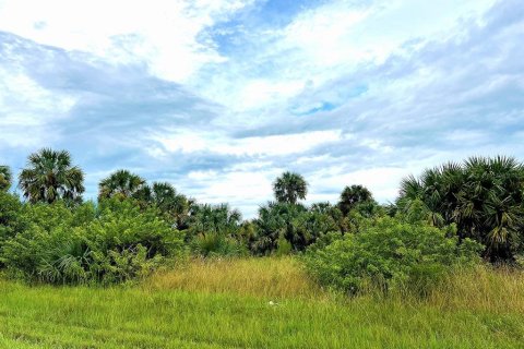 Land in Port Charlotte, Florida № 1394180 - photo 1