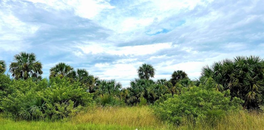 Land in Port Charlotte, Florida № 1394180