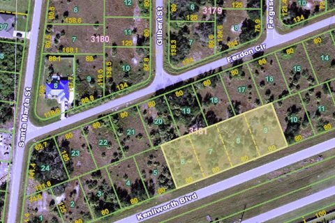 Land in Port Charlotte, Florida № 1394180 - photo 4