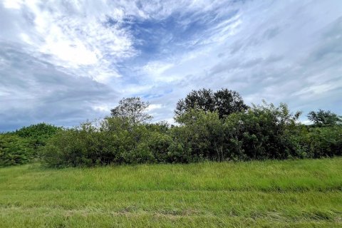 Land in Port Charlotte, Florida № 1394180 - photo 3