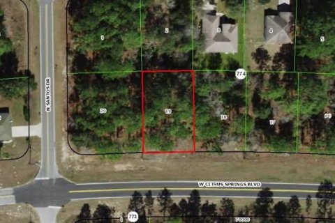 Land in Citrus Springs, Florida № 2162749