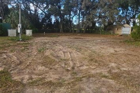 Terreno en venta en Summerfield, Florida № 2229318 - foto 10