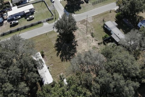 Terreno en venta en Summerfield, Florida № 2229318 - foto 11