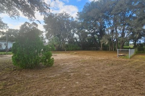 Terreno en venta en Summerfield, Florida № 2229318 - foto 9