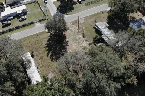 Terreno en venta en Summerfield, Florida № 2229318 - foto 12