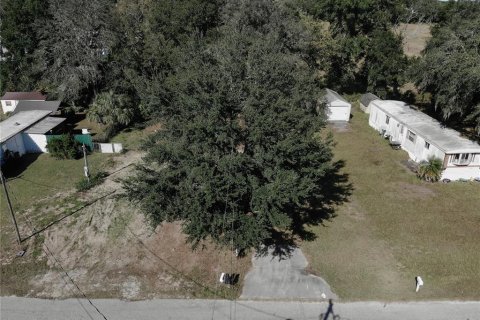 Terreno en venta en Summerfield, Florida № 2229318 - foto 7