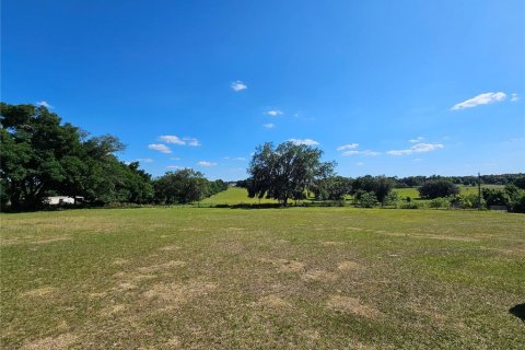 Land in Dade City, Florida № 1126453 - photo 1