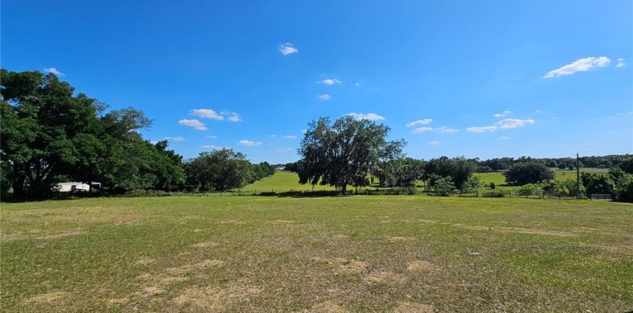 Land in Dade City, Florida № 1126453