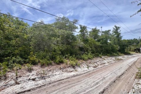 Land in Salt Springs, Florida № 2159582