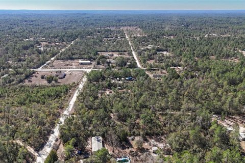 Terrain à vendre à Dunnellon, Floride № 2142145 - photo 6