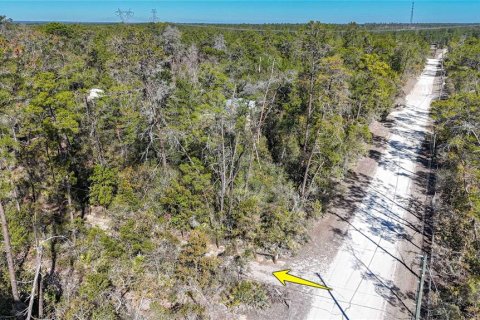 Terrain à Dunnellon, Floride № 2142145