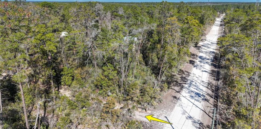 Terrain à Dunnellon, Floride № 2142145