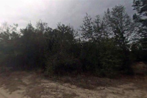 Land in Inverness, Florida № 2159276