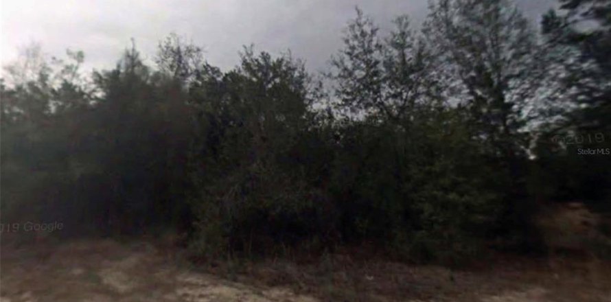 Land in Inverness, Florida № 2159276