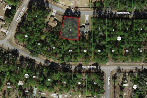 Land in Citrus Springs, Florida № 2166149