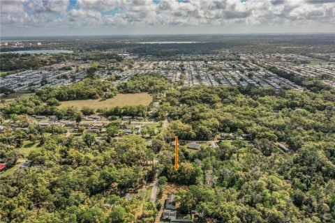 Terreno en venta en Lakeland, Florida № 2229479 - foto 7