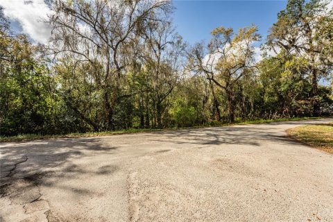 Terreno en venta en Lakeland, Florida № 2229479 - foto 4