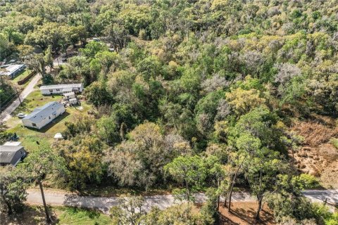Terreno en venta en Lakeland, Florida № 2229479 - foto 5