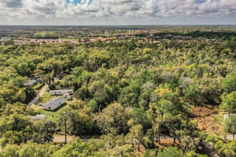 Terreno en venta en Lakeland, Florida № 2229479 - foto 6