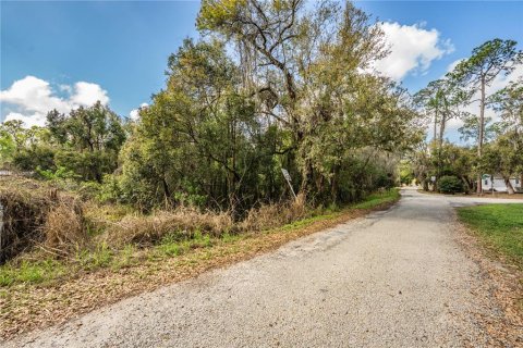 Terreno en venta en Lakeland, Florida № 2229479 - foto 3