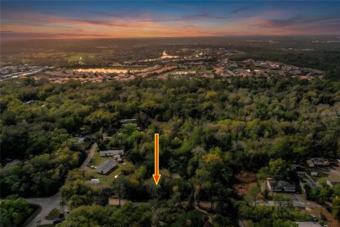 Terreno en venta en Lakeland, Florida № 2229479 - foto 2